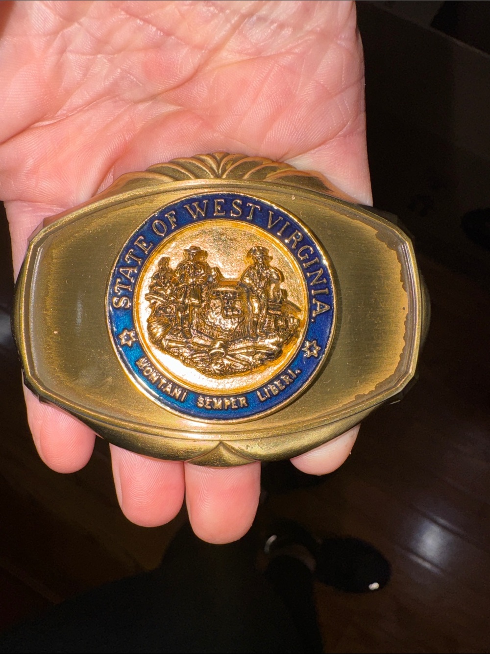 Vintage RainTree West Virginia Belt Buckle